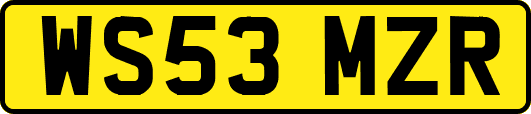 WS53MZR