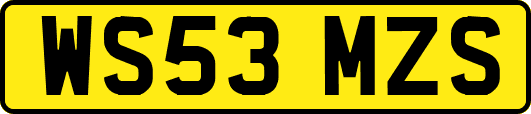 WS53MZS