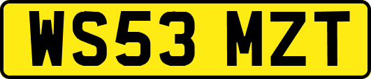 WS53MZT