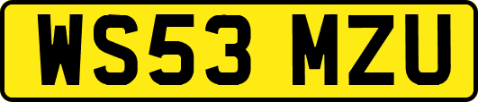 WS53MZU