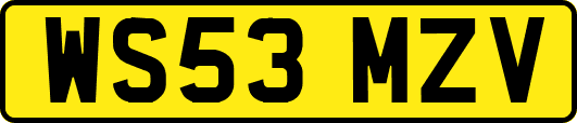 WS53MZV