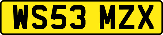 WS53MZX