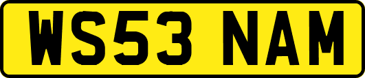 WS53NAM