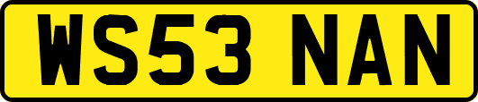 WS53NAN