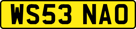 WS53NAO