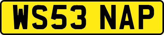 WS53NAP