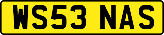 WS53NAS