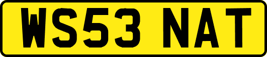 WS53NAT