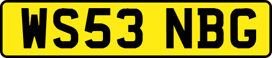 WS53NBG
