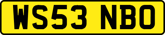 WS53NBO