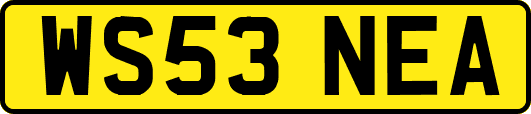 WS53NEA