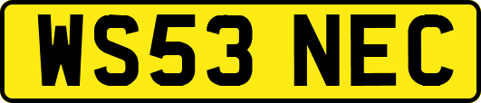 WS53NEC