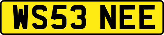 WS53NEE