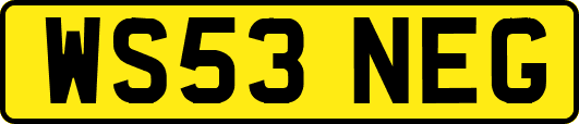 WS53NEG