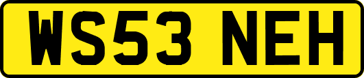WS53NEH
