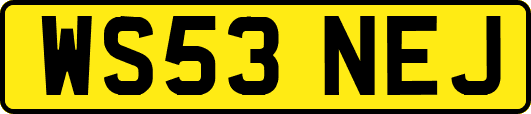 WS53NEJ