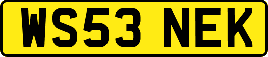WS53NEK