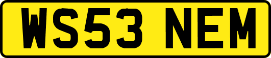 WS53NEM