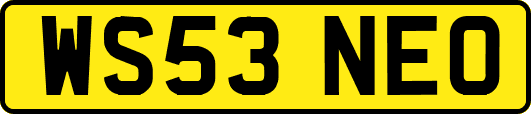 WS53NEO
