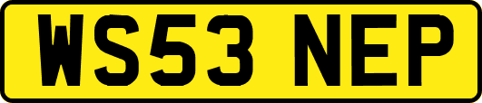 WS53NEP