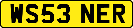 WS53NER