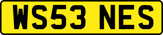 WS53NES