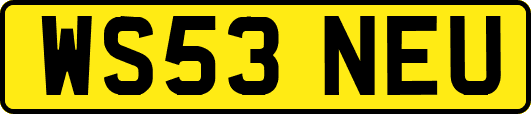 WS53NEU