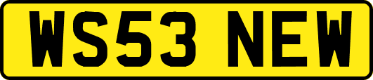 WS53NEW