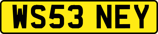 WS53NEY