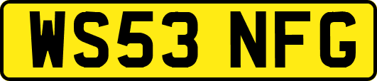 WS53NFG