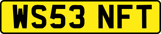 WS53NFT