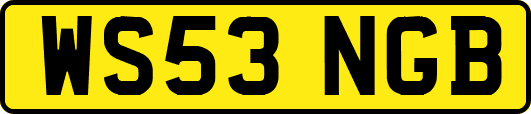 WS53NGB