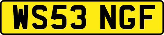 WS53NGF