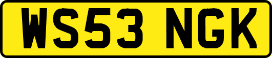 WS53NGK