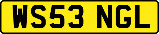 WS53NGL