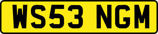 WS53NGM