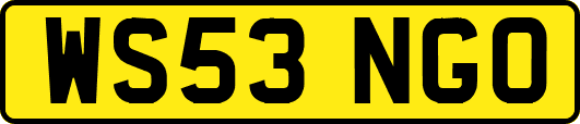 WS53NGO