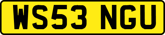 WS53NGU