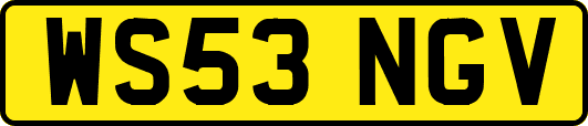 WS53NGV