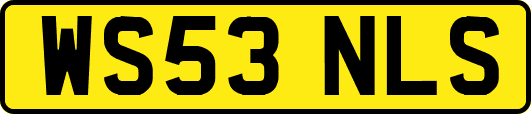 WS53NLS