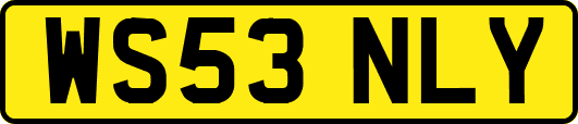 WS53NLY