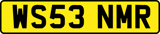WS53NMR