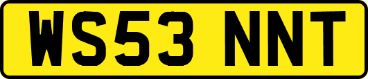 WS53NNT
