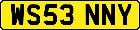 WS53NNY