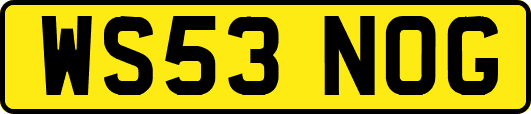 WS53NOG