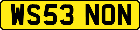 WS53NON