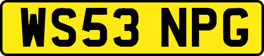 WS53NPG