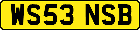 WS53NSB