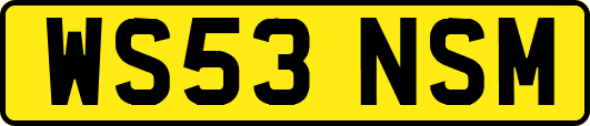 WS53NSM