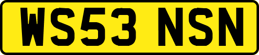 WS53NSN